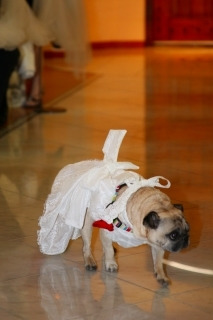 $～ウェディングスタッフ日記～　エスポワール