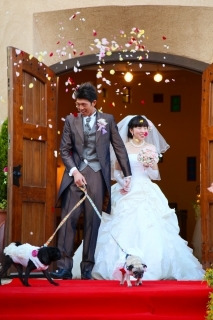 $～ウェディングスタッフ日記～　エスポワール