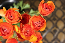 $～ウェディングスタッフ日記～　エスポワール