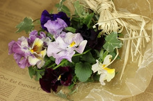 $～ウェディングスタッフ日記～　エスポワール