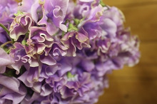 $～ウェディングスタッフ日記～　エスポワール