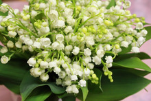 $～ウェディングスタッフ日記～　エスポワール