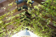 $～ウェディングスタッフ日記～　エスポワール