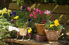 $～ウェディングスタッフ日記～　エスポワール