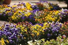 $～ウェディングスタッフ日記～　エスポワール