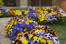 $～ウェディングスタッフ日記～　エスポワール