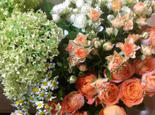 $～ウェディングスタッフ日記～　エスポワール