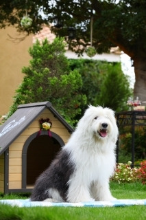 $～ウェディングスタッフ日記～　エスポワール